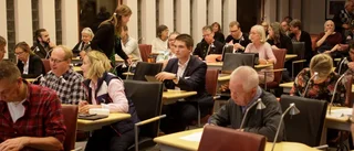 Både gas och broms mot 2020