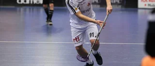 Mattsson lämnar Libk