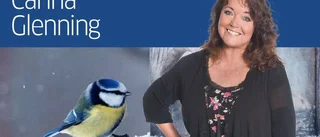 En död blåmes och allt är över