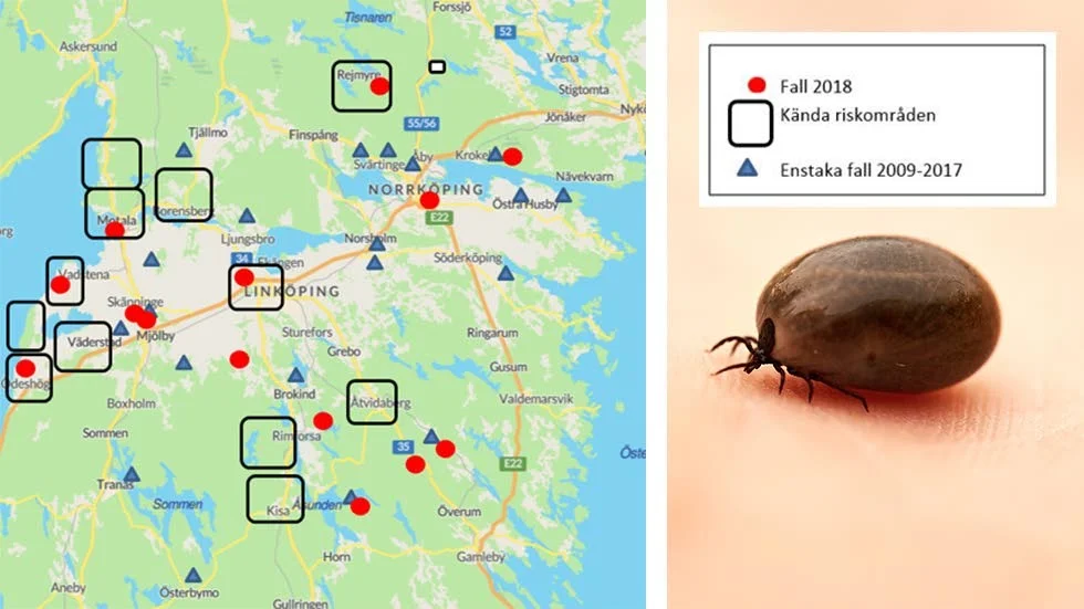 Under 2018 rapporterades 17 fall av TBE i Östergötland som sedan tidigare har tolv dokumenterade  riskområden.