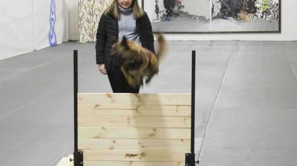 Rakel tar ett rejät skull över planket. Till stor glädje för matte, Emma Svensson.