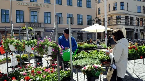 Blommor eller kaffe?