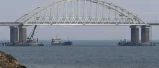 Bo Pellnäs: Svart och vitt i Ukraina