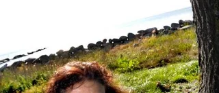 Hennes dröm är en taverna på en grekisk ö