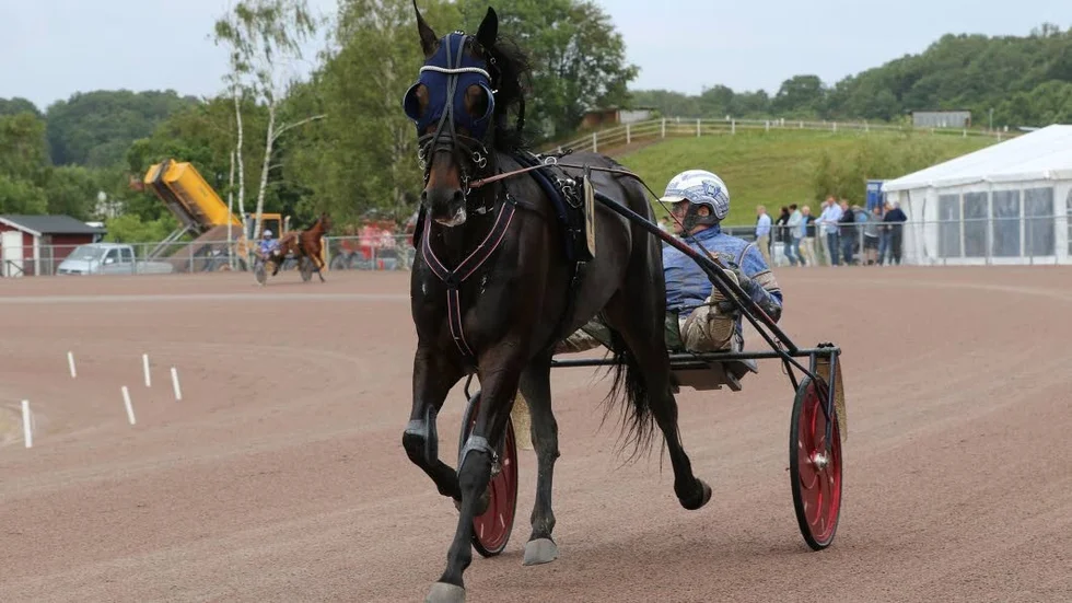 Efter tre års tävlingsfrånvaro gör Policy of Truth comeback på tävlingsbanan i V86 nästa vecka.