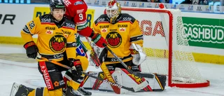 Här är Luleå Hockeys motstånd i SM-semifinalen
