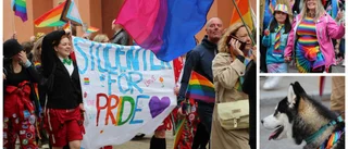 BILDEXTRA: Idel regnbågar –trots regnet • Här går pridetåget genom Norrköping • Se alla bilderna