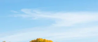 Utebliven reseersättning
