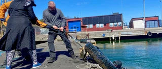 Nya larm om utsläpp i fiskehamnen – har pågått i flera år ✓Nu tar kommunen tag i säkerheten
