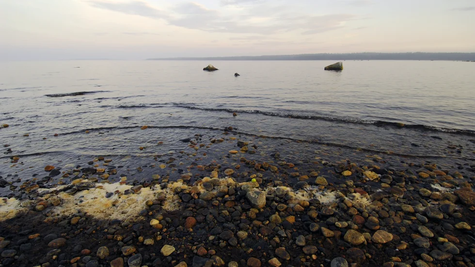 Miljoner kubik av giftiga muddermassor får dispens för att dumpas i Östersjön. Arkivbild.