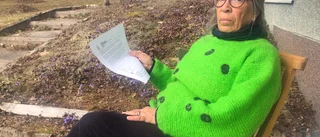 Christina vill att kommunen agerar: "Dåliga förbindelser till flygplatsen är inte bra för Piteå"