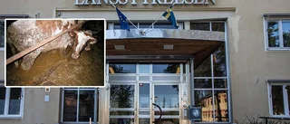 Djurskyddet tar över polisens arbetsuppgifter