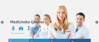 Inget samband mellan fejk-hemsida och LTU