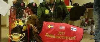 Jagade fort som Blixten