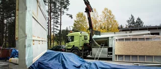 Chaufför avled efter klämolycka