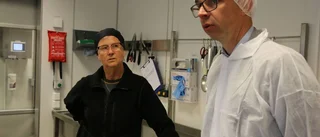 Luleå kommun vill köpa 745 000 portioner från storkök