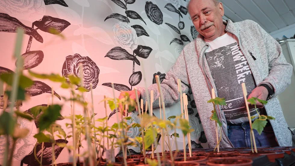 Intresset för odling hjälper Lasse Stålnacke att tänka på annat än sjukdomen. I huset finns plantor av många slag. 