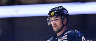 Förre Skellefteåbacken på väg tillbaka till SHL – här tros han hamna
