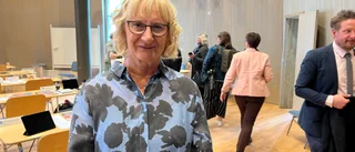 Tidigare civilministern invald i Östergötlands hälso- och sjukvårdsnämnd