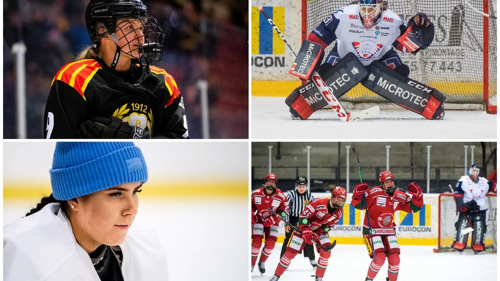 Josefin Bouveng, Stephanie Neatby, Sofia Redieborn och Daniela Pejsova är fyra spelare det surras om under silly season.