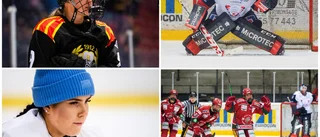 Så här är läget i LHC och de övriga SDHL-trupperna