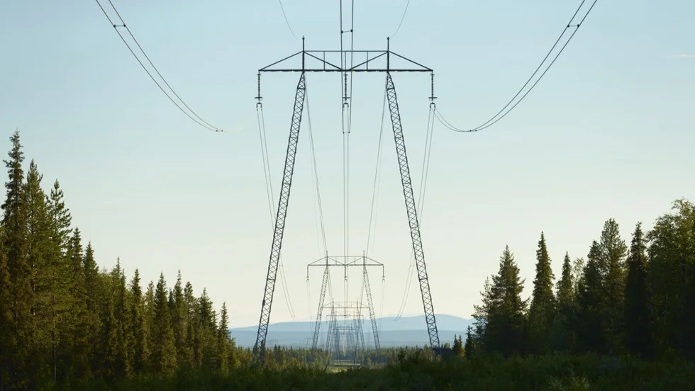 Norconsult ska projektera en större transmissionsledning Letsi – Svartbyn på rekordtid. (Arkivbild)