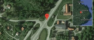 Hund på vägen på väg 55