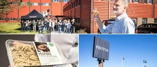 Slakteriet byter namn och satsar – på vegetariskt • Vd:n: ”Ingen kommer att förlora jobbet”