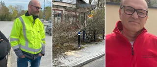 ”Det blev rena personangrepp” • Upprörda känslor under möte om fällda lindarna • Hemsebo: ”Det är bara grått” 