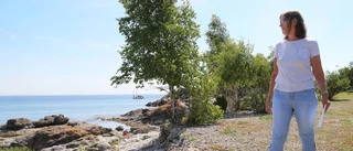 Fortsatt strid om planerna för Vändburg