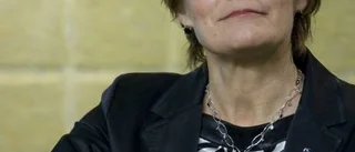 Alliansen glömmer statens begränsning
