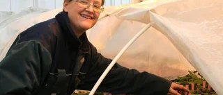 Josefine har hundratals pelargonersorter