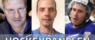 Hockeypanelen ger sin syn inför allettan