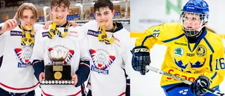 Hockeyduon Fabian Wagner och Lova Blom fick ta emot stipendium – berättar om säsongens framgångar: "Jag är otroligt tacksam"