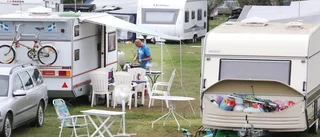 Rekordår för svensk camping: Gotland i botten