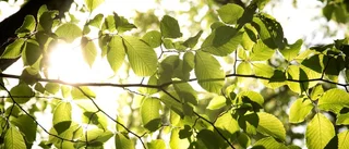 SMHI: Då kommer solen tillbaka igen