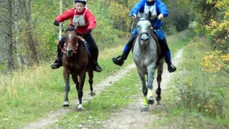 Upploppsstrid. Efter 12 mil i sadeln kämpade Sofie Hinas/My Melody och Anneli Schultz/Nowator sida vid sida på upploppet. Anneli vann den striden med en noslängd.&tab;&tab;Foto: INGRID NORRBY