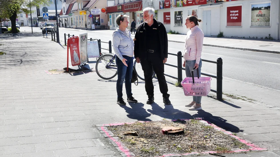 Uppretade Hemsebor krävde återplantering och polisanmälde Trafikverket. Anmälan är nedlagd men under hösten ska 15 nya träd planteras. Allan Kolmodin saknar dock samråd från Trafikverket kring placeringen.