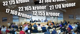 Kritiken har gett resultat: ✓ Gruppledarna kan få höjda arvoden nästa år ✓ Moderaterna kan tappa arvoderade uppdrag