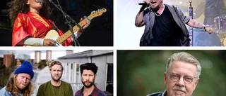 Många spelningar i Linköping i helgen – här är listan på helgens konserter