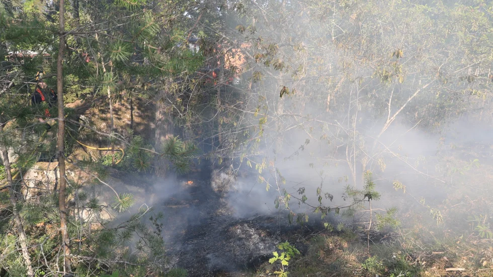 Markbrand i Gottsunda.