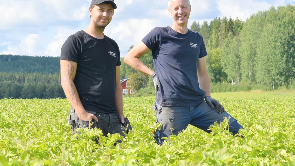 Simon Björkman har tidigare jobbat som snickare, men sadlade om för att driva lantbruket tillsammans med pappa Ola.