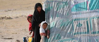 Vi måste hjälpa afghanerna nu 