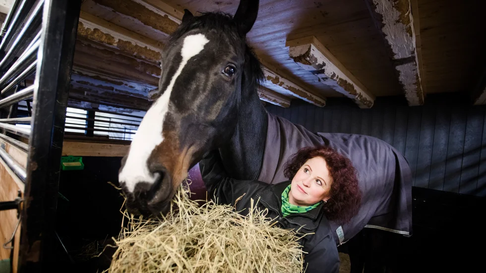 Förbundskaptenen Cecilia Hansson fick se en av sina landslagsryttare vinna Västra Sörmlands sportryttarförenings WE-tävling vid Holmen.