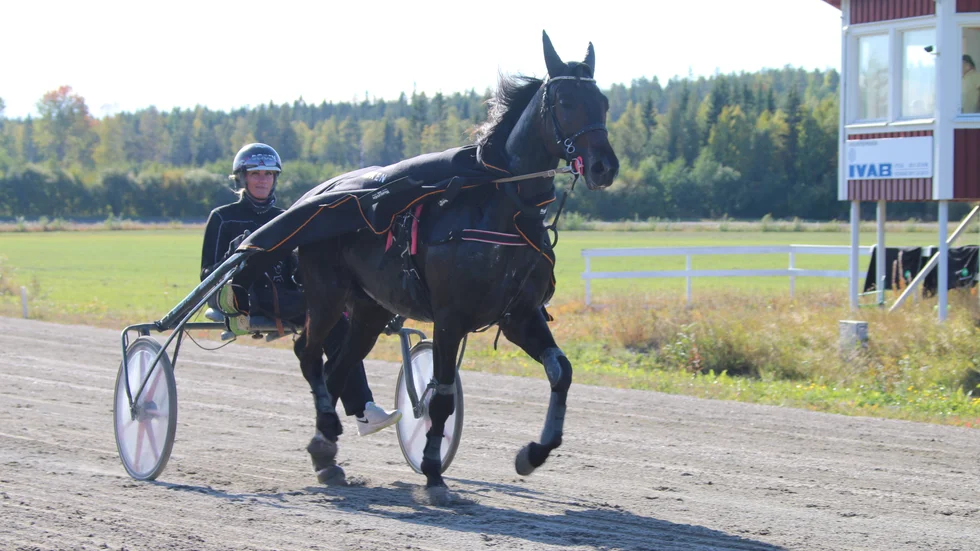 Hanna Olofsson segerdefilerar