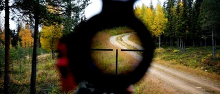 Polisen förstörde beslagtagna älgar – ägaren får skadestånd
