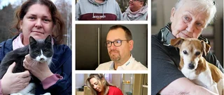 Ett år efter covid-19: "Vi är fortfarande sjuka"