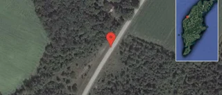 Fallna träd skapar problem i trafiken på väg 562