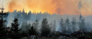 Gräsbrand inringad – ingen spridningsrisk längre