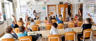 Bedömningen ingår i nämndens uppdrag